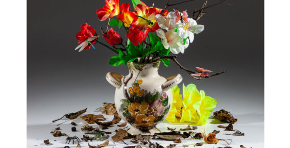 Museu de Arte Contemporânea do RS aproxima público do colecionismo de arte em duas exposições na CCMQ