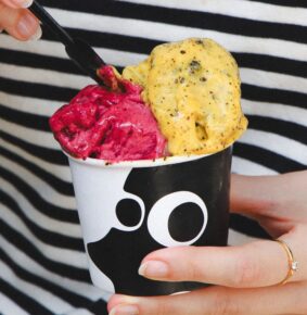 Porto Alegre recebe encontro inédito de “adoradores de pinguim” neste sábado, quando é celebrado o Dia Mundial do Pinguim