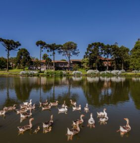 Arte, vinho e gastronomia se encontram em experiência no Grande Hotel Canela