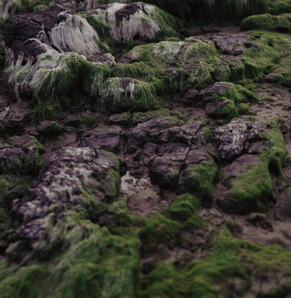 Nathan Carvalho transforma paisagens do litoral gaúcho em série fotográfica inédita