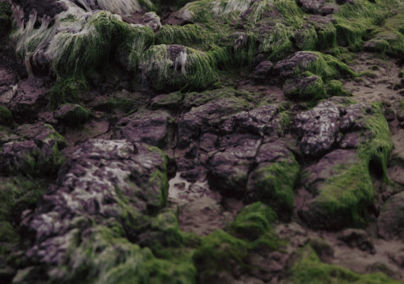 Nathan Carvalho transforma paisagens do litoral gaúcho em série fotográfica inédita